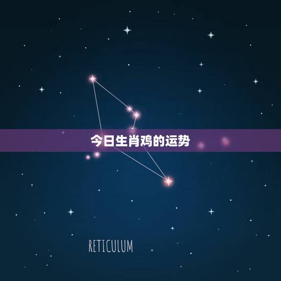 今日生肖鸡的运势，12生肖2010年运势鸡