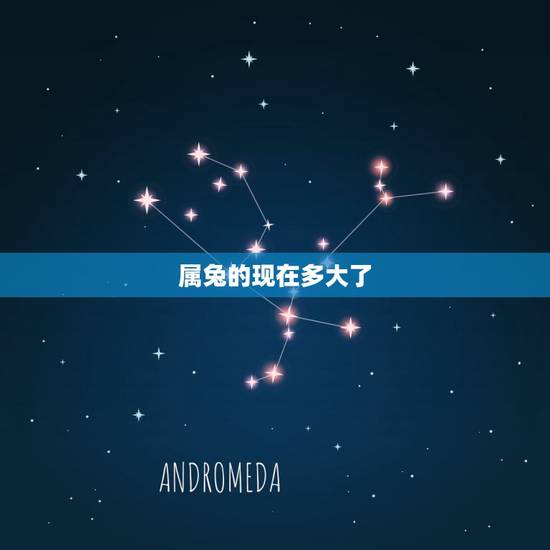 属兔的现在多大了，2022 年属兔的今年多大虚岁