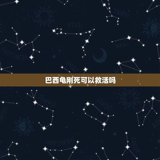 巴西龟刚死可以救活吗，小乌龟死了怎样救活？