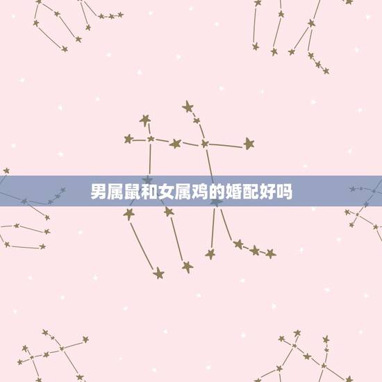 男属鼠和女属鸡的婚配好吗,男属鼠女属鸡配吗_鼠和鸡配吗? 男属鼠和女属鸡的婚配好吗,男属鼠女属鸡配吗_鼠和鸡配吗?