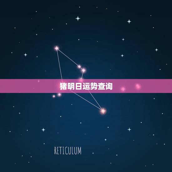 猪明日运势查询,属猪今日财运在哪个方向 猪明日运势查询,属猪今日财运在哪个方向