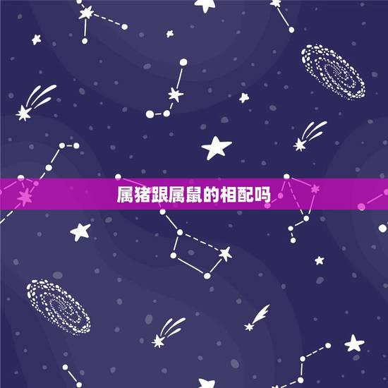 属猪跟属鼠的相配吗，男猪女鼠的婚姻状况