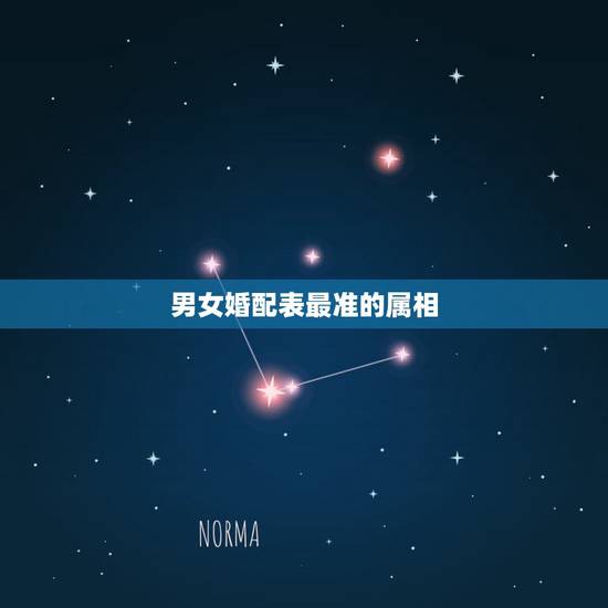 男女婚配表最准的属相，属相婚配表之属猪的和什么属相最配