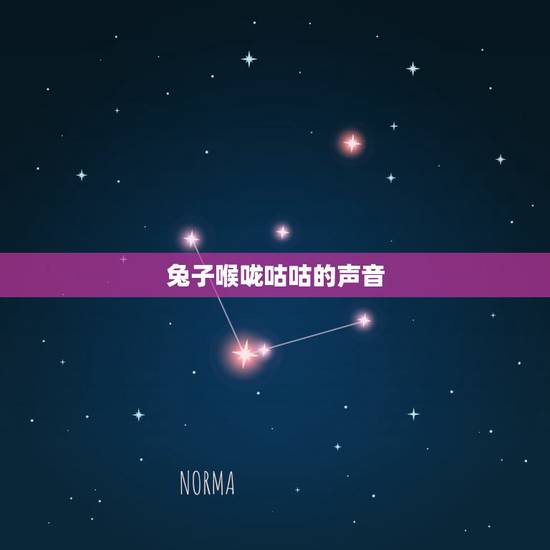 兔子喉咙咕咕的声音,兔子吃草的时候咕咕叫 兔子喉咙咕咕的声音,兔子吃草的时候咕咕叫