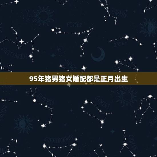 95年猪男猪女婚配都是正月出生，95年正月的属猪的和什么属相最配
