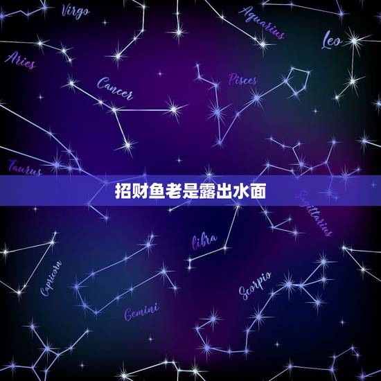 招财鱼老是露出水面,新进缸的招财鱼在缸底斜躺着,一会猛游水面,嘴漏出水 招财鱼老是露出水面,新进缸的招财鱼在缸底斜躺着,一会猛游水面,嘴漏出水