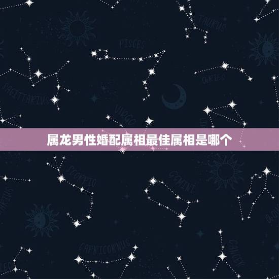 属龙男性婚配属相最佳属相是哪个，属龙的男生和哪几个属相婚姻是最好的？