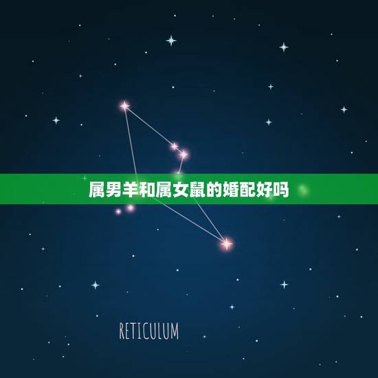 属男羊和属女鼠的婚配好吗,属鼠和属羊相配吗? 属男羊和属女鼠的婚配好吗,属鼠和属羊相配吗?