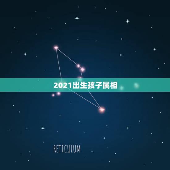 2021出生孩子属相,2021年喜得贵子的男生肖 2021出生孩子属相,2021年喜得贵子的男生肖