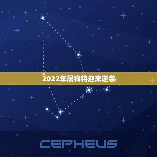 2022年属狗将迎来逆袭，94年属狗2022年运势