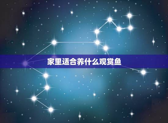 家里适合养什么观赏鱼，请问适合家庭养殖的观赏鱼有那些？