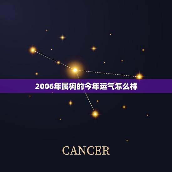 2006年属狗的今年运气怎么样，我是属狗的六月二十四日出生的，今年运气