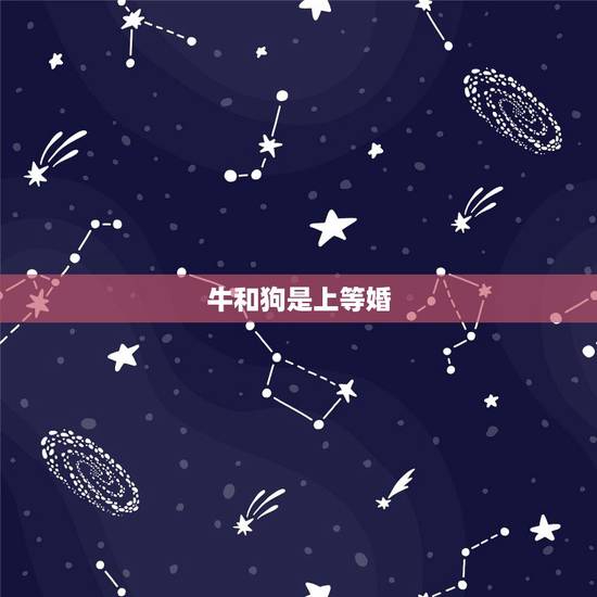 牛和狗是上等婚，狗女94配97牛男
