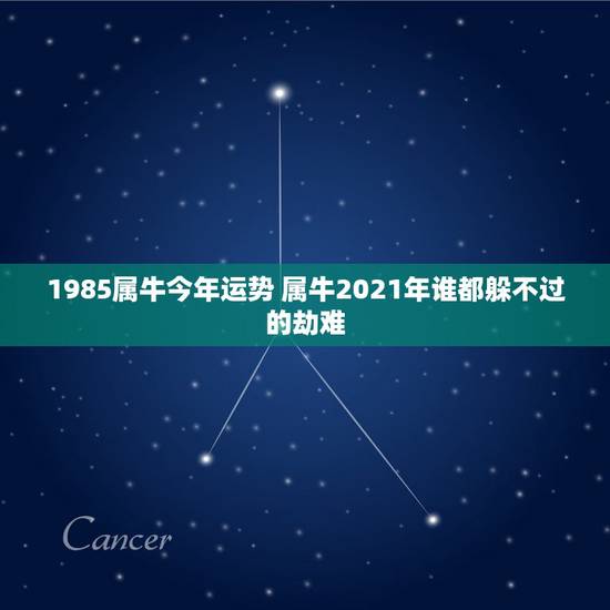 1985属牛今年运势 属牛2021年谁都躲不过的劫难