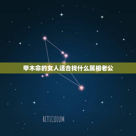 甲木命的女人适合找什么属相老公,甲木命可以和辛金命结婚吗 甲木命的女人适合找什么属相老公,甲木命可以和辛金命结婚吗