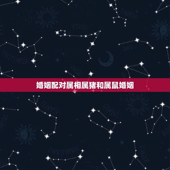 婚姻配对属相属猪和属鼠婚姻，我和老公属鼠，儿媳妇属猪，结婚那天属相犯冲