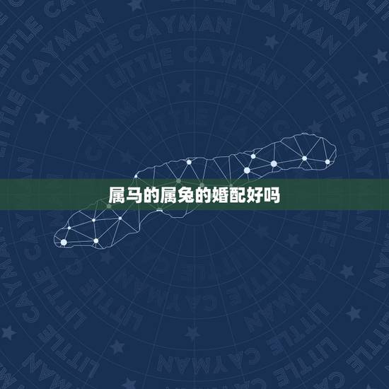 属马的属兔的婚配好吗，属兔和属马婚配如何？