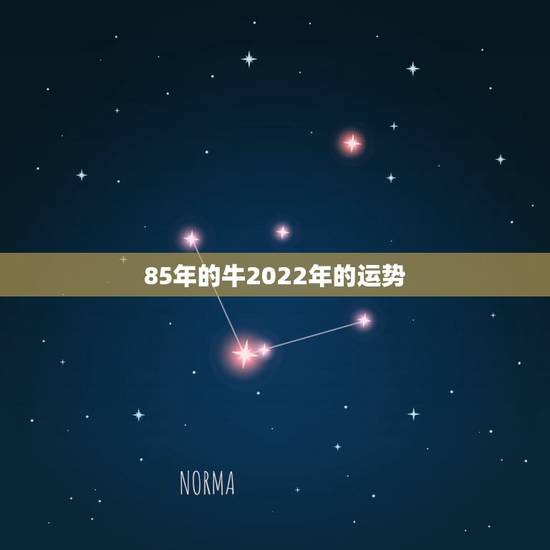 85年的牛2022年的运势，1985年属牛男2021年运势及运程