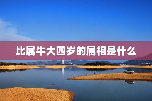 比属牛大四岁的属相是什么,43岁比猪大四岁的属什么? 比属牛大四岁的属相是什么,43岁比猪大四岁的属什么?