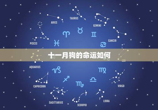 十一月狗的命运如何，农历12月属狗命运如何