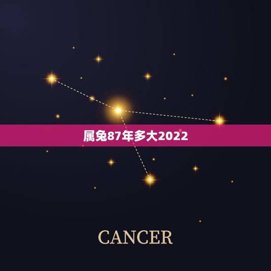 属兔87年多大2022,1963年2022 年多大 属兔87年多大2022,1963年2022 年多大