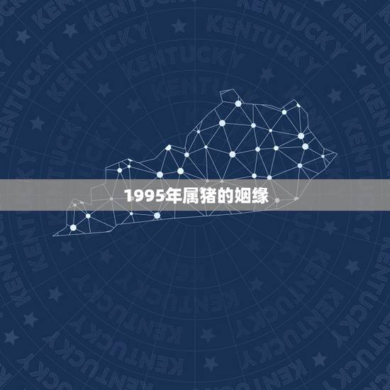 1995年属猪的姻缘，95年属猪与属猪的姻缘咋样