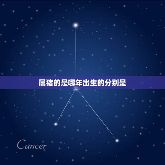属猪的是哪年出生的分别是，属猪是哪一年出生的