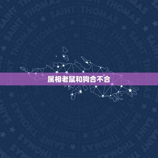 属相老鼠和狗合不合，属相狗跟鼠相配吗