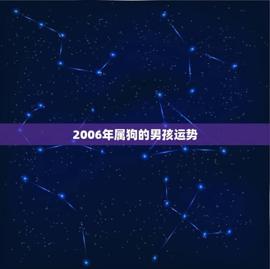 2006年属狗的男孩运势,2022 属狗人全年运势2006 2006年属狗的男孩运势,2022 属狗人全年运势2006