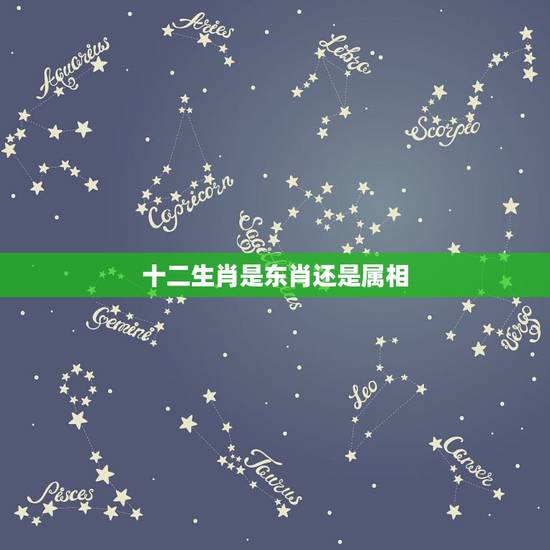 十二生肖是东肖还是属相,打仗的生肖12生肖哪些是东肖 十二生肖是东肖还是属相,打仗的生肖12生肖哪些是东肖