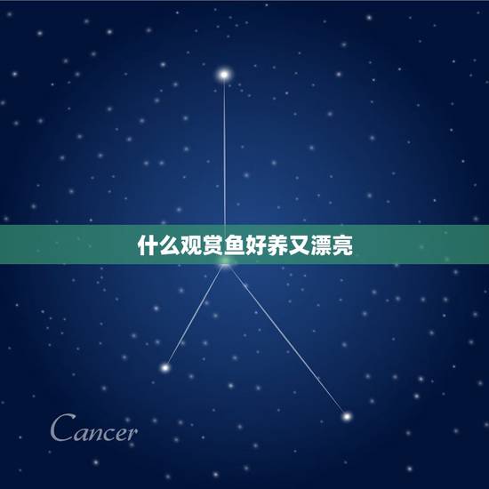 什么观赏鱼好养又漂亮，有哪些观赏鱼好看又好养，适合新手饲养？