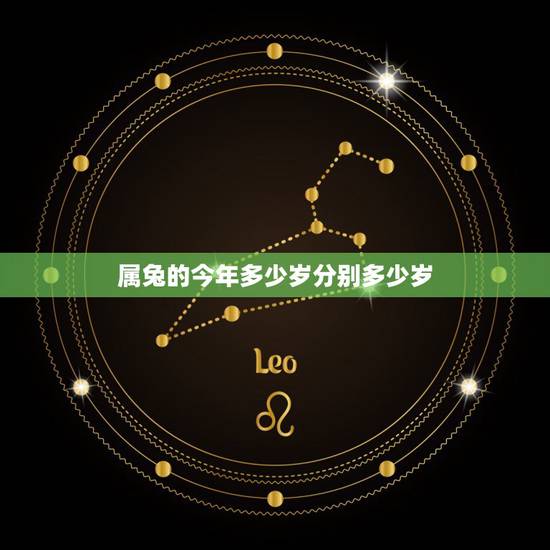 属兔的今年多少岁分别多少岁，生肖兔多少岁