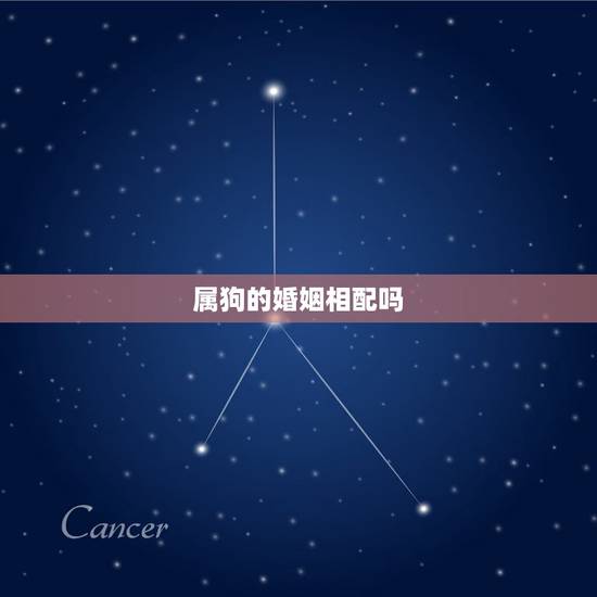 属狗的婚姻相配吗,属狗和属狗的相配吗 属狗的婚姻相配吗,属狗和属狗的相配吗