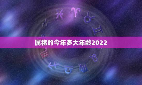 属猪的今年多大年龄2022，2035年属猪的多大