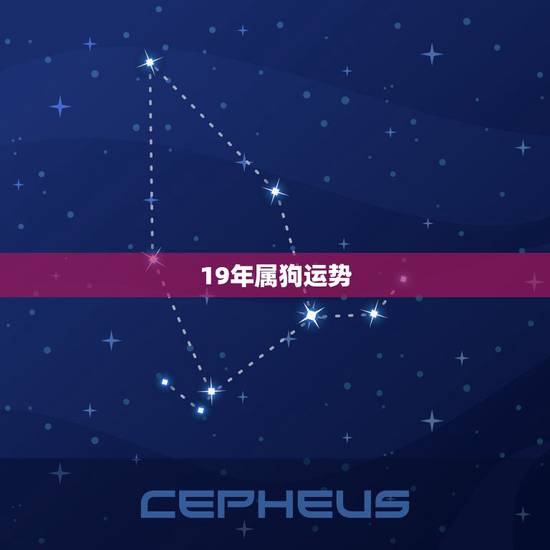 19年属狗运势,属狗2o19年运程 19年属狗运势,属狗2o19年运程