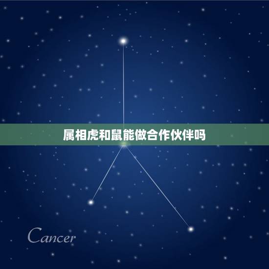 属相虎和鼠能做合作伙伴吗，属虎的和属鼠的能一起工作吗？