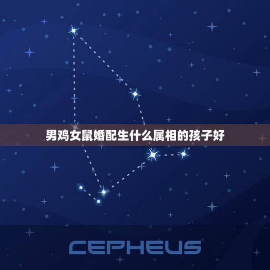 男鸡女鼠婚配生什么属相的孩子好，男属鸡女属鼠生什么属相的小孩最好？