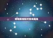 婚姻属相配对查询属兔，婚姻属相搭配属兔的 男生和属什么的 配对