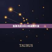 生肖马女2022年运势大全，生肖马女2022 年下半年运势