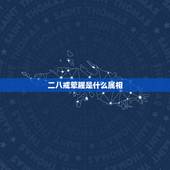 二八戒荤腥是什么属相，佛教吃全素，戒的荤都包括什么？辣椒，牛奶，咖啡，