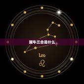 属牛三合是什么，属牛2022 年运势及运程