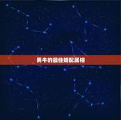 男牛的最佳婚配属相，为什么属相牛和属相鸡能配对？