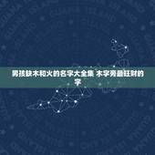 男孩缺木和火的名字大全集 木字旁最旺财的字