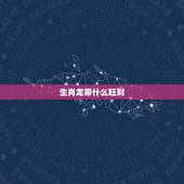生肖龙带什么旺财，属龙的吉祥物招财是什么