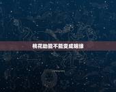 桃花劫能不能变成姻缘，桃花劫是前世的姻缘吗