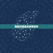 属猴和属鼠的婚姻如何，属猴的和属鼠的婚姻相配吗