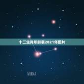 十二生肖年龄表2021年图片，十二生肖岁数年龄表