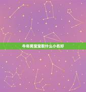 牛年男宝宝取什么小名好，牛年男宝宝小名怎么取？