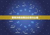 愿意为我去陶白白是什么梗，陶白白什么梗