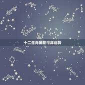 十二生肖属蛇今年运势，十二生肖与人生运势
